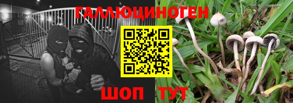 Галлюциногенные грибы мицелий Чебаркуль